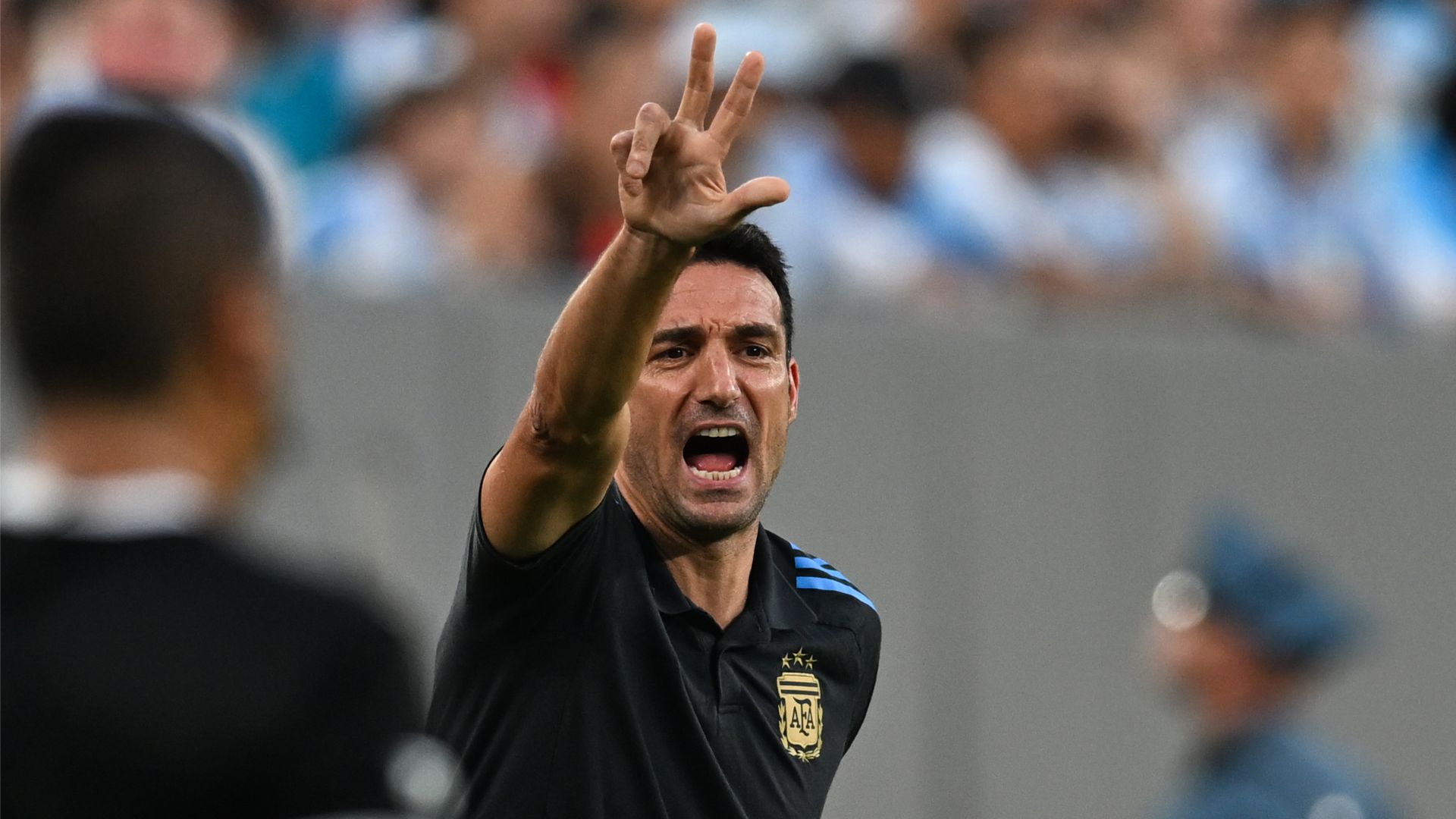 Lionel Scaloni, técnico da Argentina - Getty Images