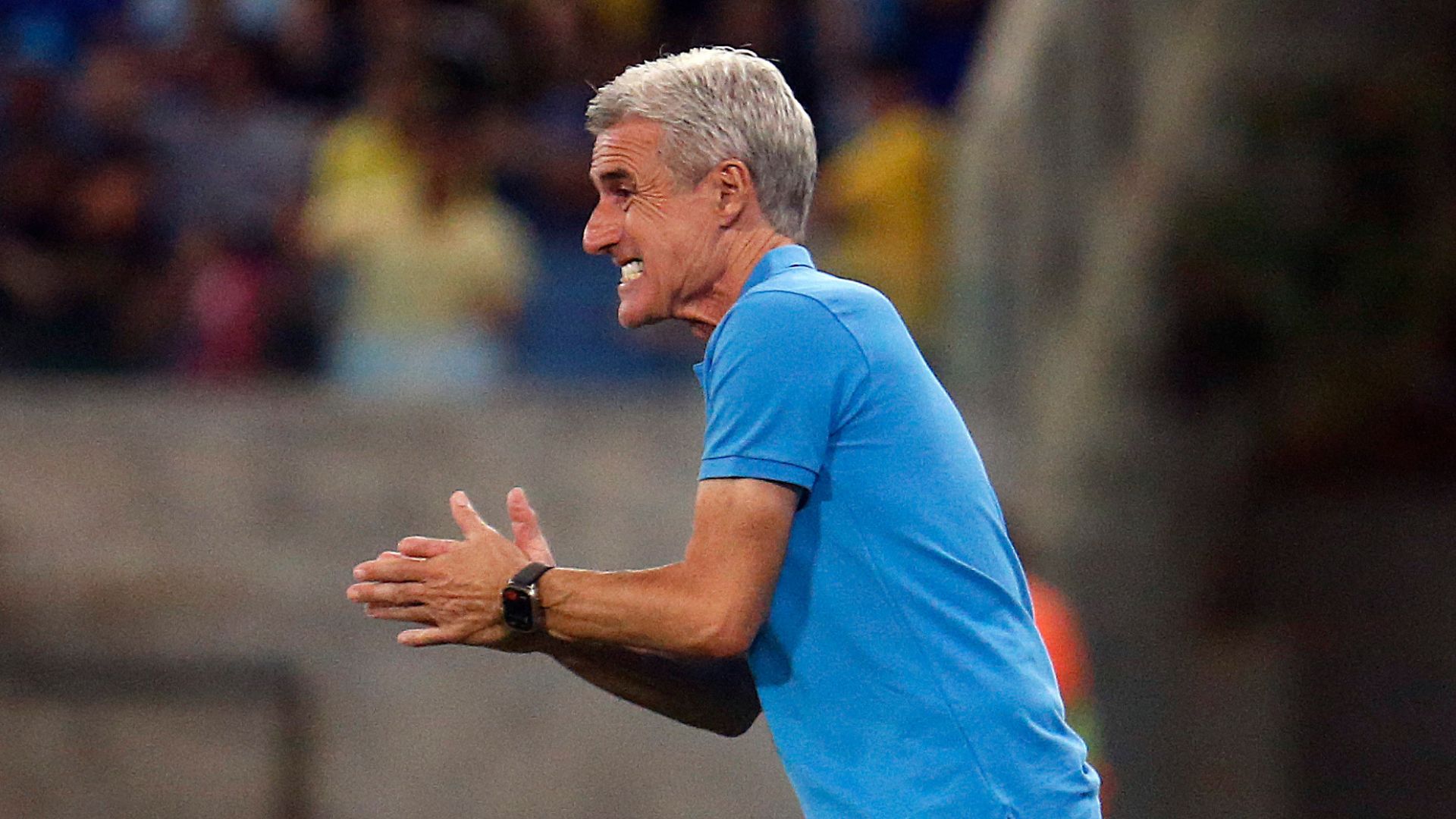 Luís Castro, técnico do Botafogo - Vitor Silva/Botafogo/Flickr