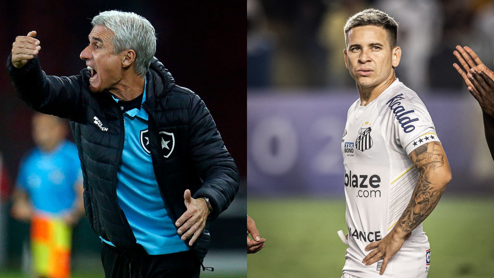 Santos e Botafogo perderam nesta rodada da Copa Sul-Americana; veja detalhes - Raul Baretta/ Santos, Vitor Silva / Botafogo