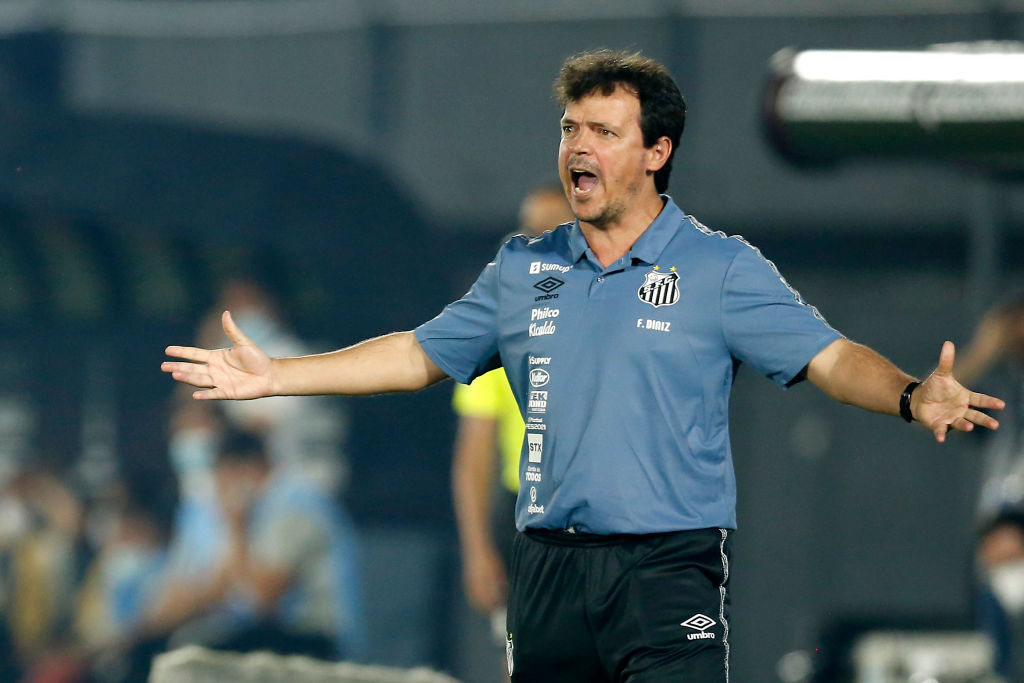 Fernando Diniz segue no Santos - GettyImages