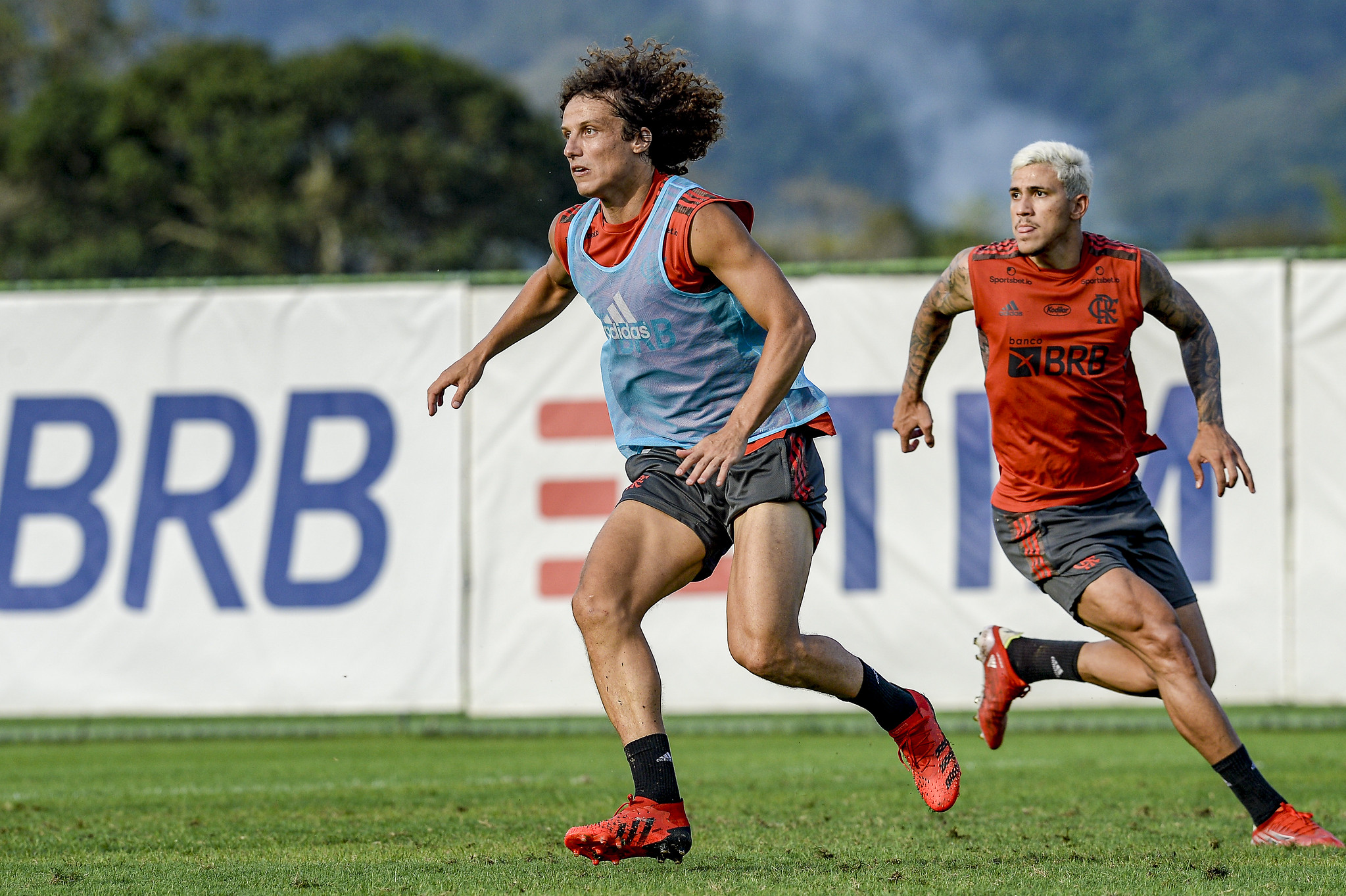 Na véspera da semifinal da Libertadores, Flamengo prepara uma surpresa - Marcelo Cortes / Flamengo / Flickr