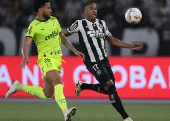 Nesta quarta-feira (14), o Botafogo recebeu, no Nilton Santos, o Palmeiras pela partida de ida das oitavas de final da Copa Libertadores 2024.