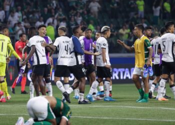 Nesta quarta-feira (21), o Palmeiras recebeu, no Allianz Parque, o Botafogo pela partida de volta das oitavas de final da Copa Libertadores 2024.
