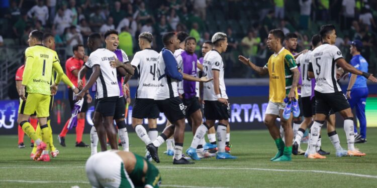 Nesta quarta-feira (21), o Palmeiras recebeu, no Allianz Parque, o Botafogo pela partida de volta das oitavas de final da Copa Libertadores 2024.