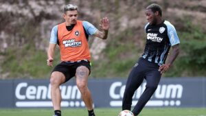 O Botafogo pode ter um reforço de peso para o confronto decisivo contra o Palmeiras, pelas oitavas de final da Conmebol Libertadores, marcado para às 21h30 da próxima quarta-feira.