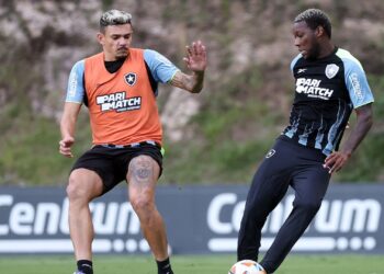 O Botafogo pode ter um reforço de peso para o confronto decisivo contra o Palmeiras, pelas oitavas de final da Conmebol Libertadores, marcado para às 21h30 da próxima quarta-feira.