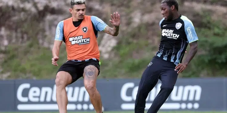 O Botafogo pode ter um reforço de peso para o confronto decisivo contra o Palmeiras, pelas oitavas de final da Conmebol Libertadores, marcado para às 21h30 da próxima quarta-feira.