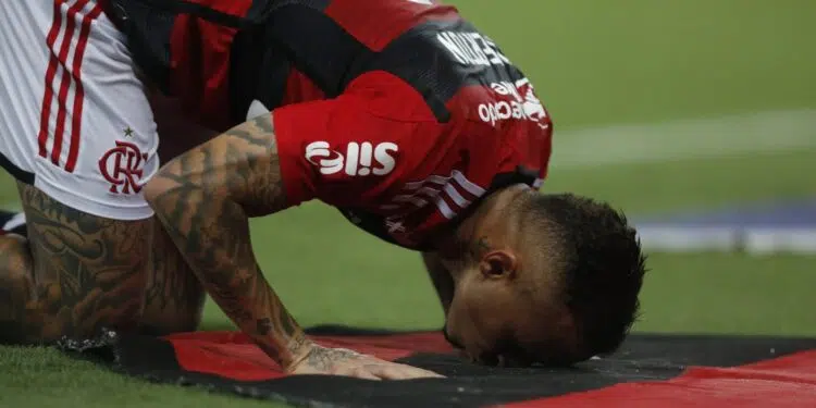 Foto: Gilvan de Souza/Flamengo