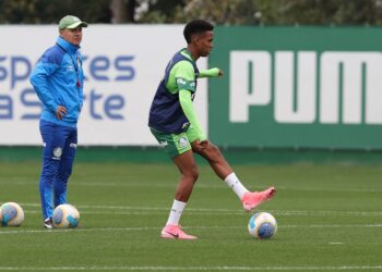 Fonte: Cesar Greco / Palmeiras