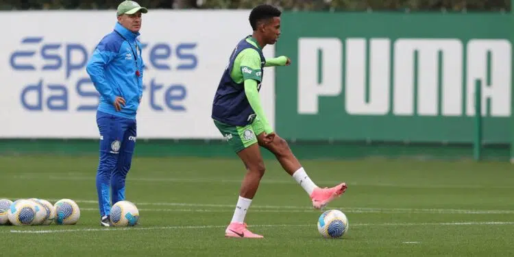 Fonte: Cesar Greco / Palmeiras