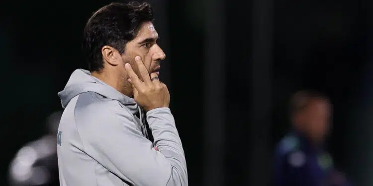 Fonte: Cesar Greco / Palmeiras