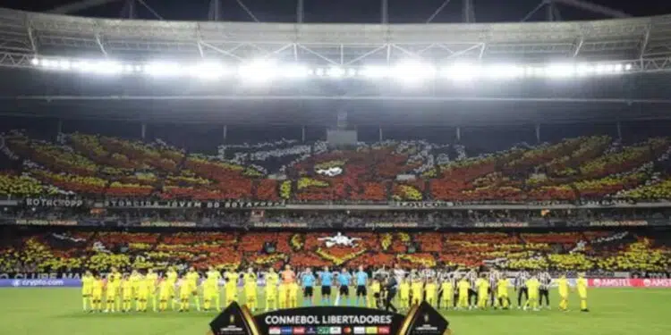 Momento em que o mosaico mostra fênix ressurgindo das cinzas - Foto: Vitor Silva/Botafogo