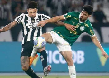 Botafogo x Palmeiras (Créditos: Vitor Silva)
