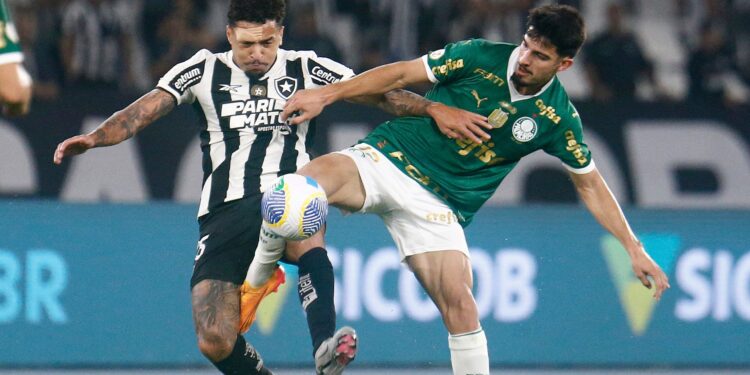Botafogo x Palmeiras (Créditos: Vitor Silva)
