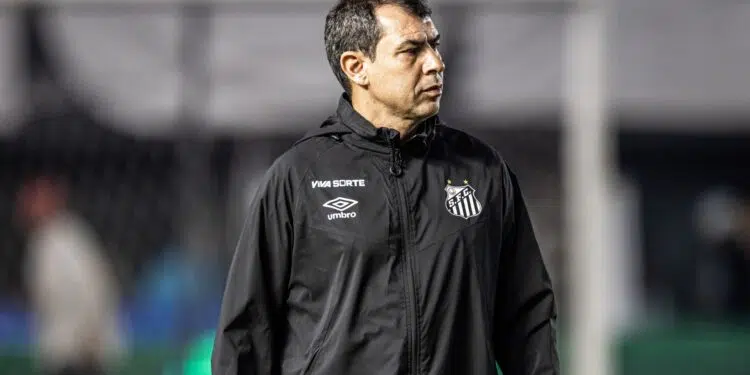 Fábio Carille, técnico do Santos