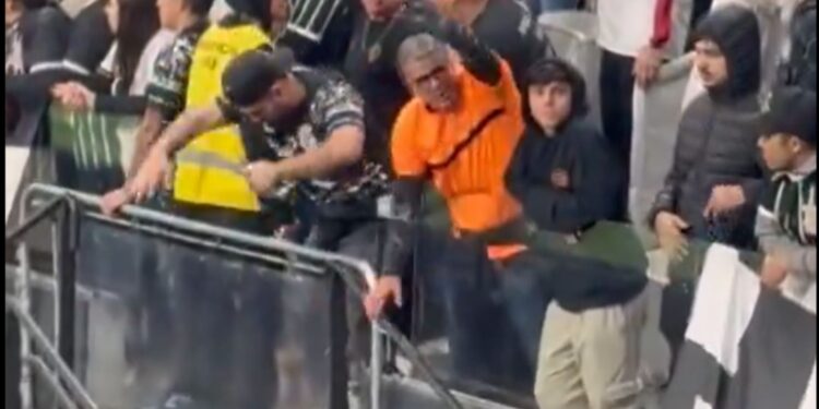 Dois torcedores imitaram atos de natação (Crédito: X/Reprodução)