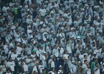 mancha-verde-proibida-estadio