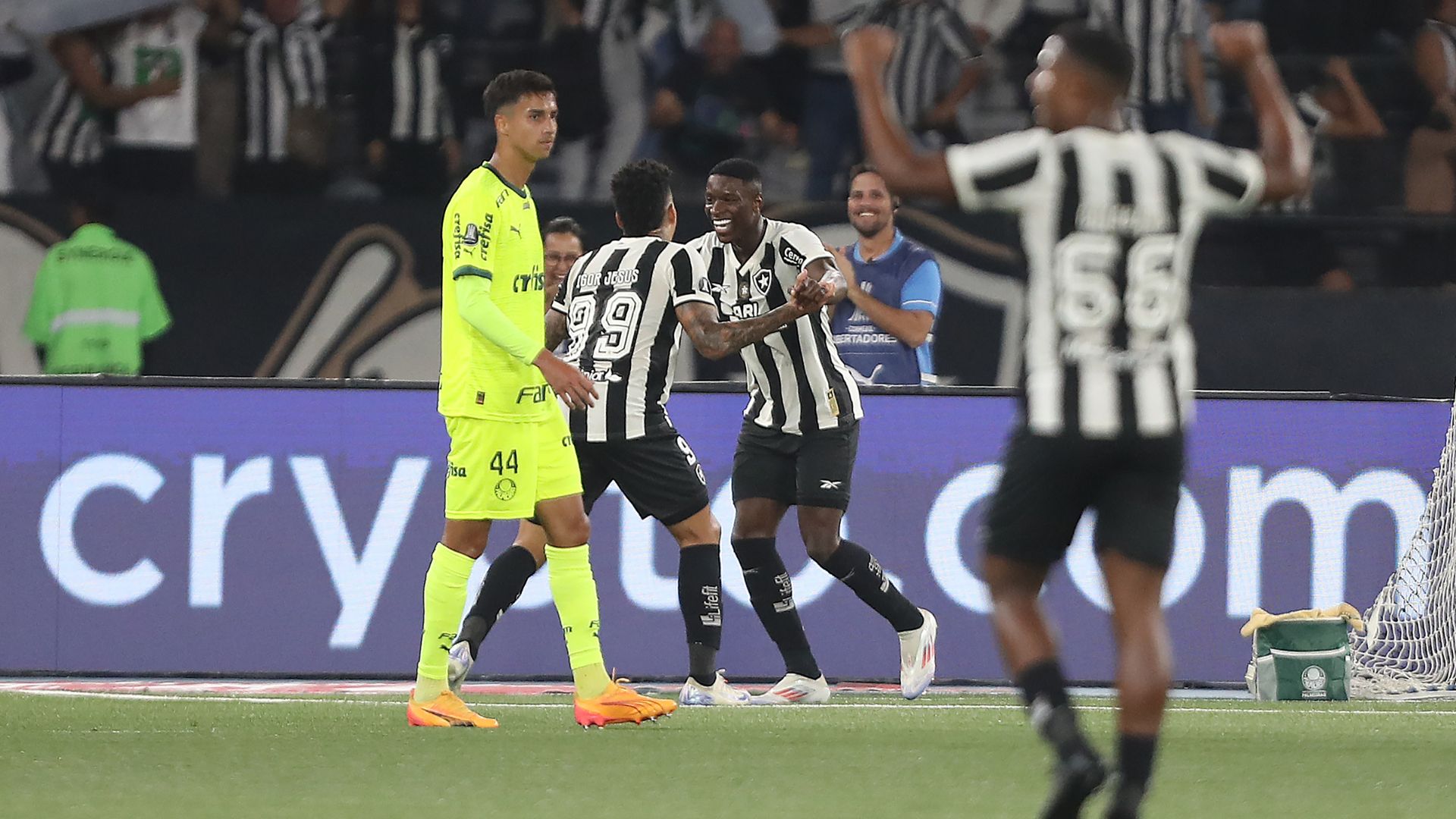 Palmeiras perdeu para o Botafogo pela Libertadores