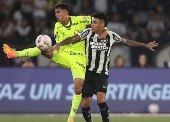 Palmeiras e Botafogo preocupam as autoridades (Crédito: Getty Images)