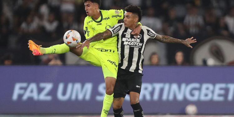 Palmeiras e Botafogo preocupam as autoridades (Crédito: Getty Images)