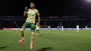 Estêvão comemorando um dos seus dois gols marcados contra o Cuiabá (Crédito: Cesar Greco / Palmeiras)