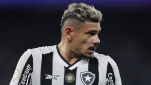 Tiquinho Soares, do Botafogo
