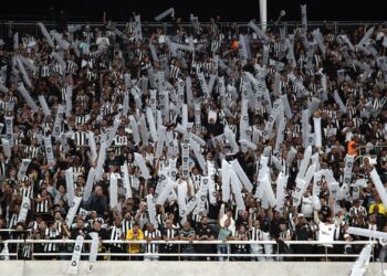 Torcida do Botafogo no Nilton Santos, na partida contra o Palmeiras