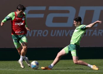Palmeiras volta a campo pelo Brasileirão (Crédito: Cesar Greco/Palmeiras/Flickr)