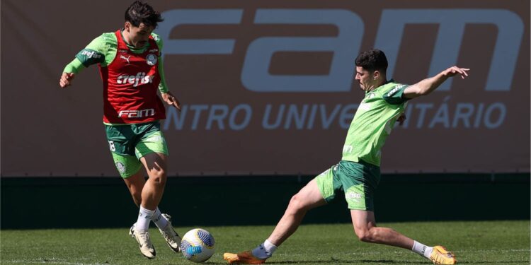 Palmeiras volta a campo pelo Brasileirão (Crédito: Cesar Greco/Palmeiras/Flickr)
