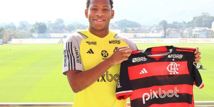 Fonte: Gilvan de Souza / Flamengo