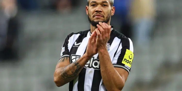 Créditos: depositphotos.com / operations@newsimages.co.uk
(Photo by Mark Cosgrove/News Images)