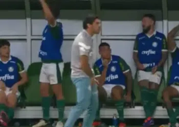 Abel Ferreira pegando em seu órgão genital no jogo contra o Flamengo
