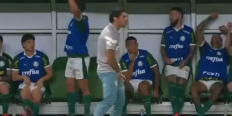 Abel Ferreira pegando em seu órgão genital no jogo contra o Flamengo