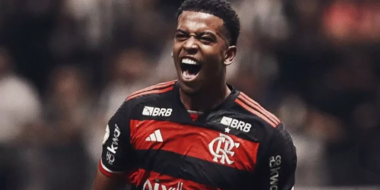 Fonte: gilvan de souza / Flamengo