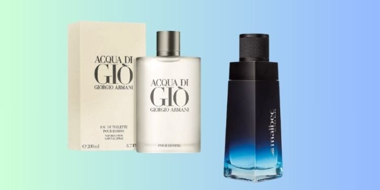 Créditos: Reprodução/Mercado Livre