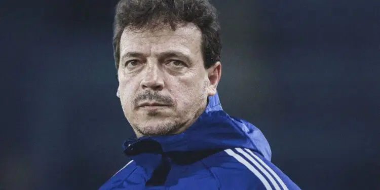Cruzeiro anuncia Fernando Diniz após negociação relâmpago