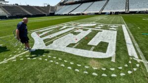 Governo de São Paulo libera venda de bebida alcoólica na NFL