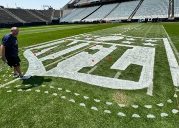 Governo de São Paulo libera venda de bebida alcoólica na NFL