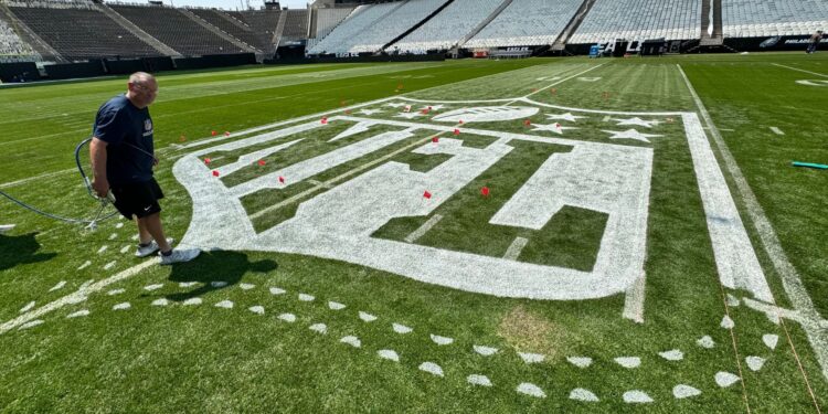 Governo de São Paulo libera venda de bebida alcoólica na NFL