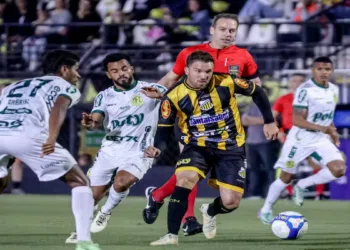 Novorizontino e Mirassol, a dupla de líderes do interior de SP
