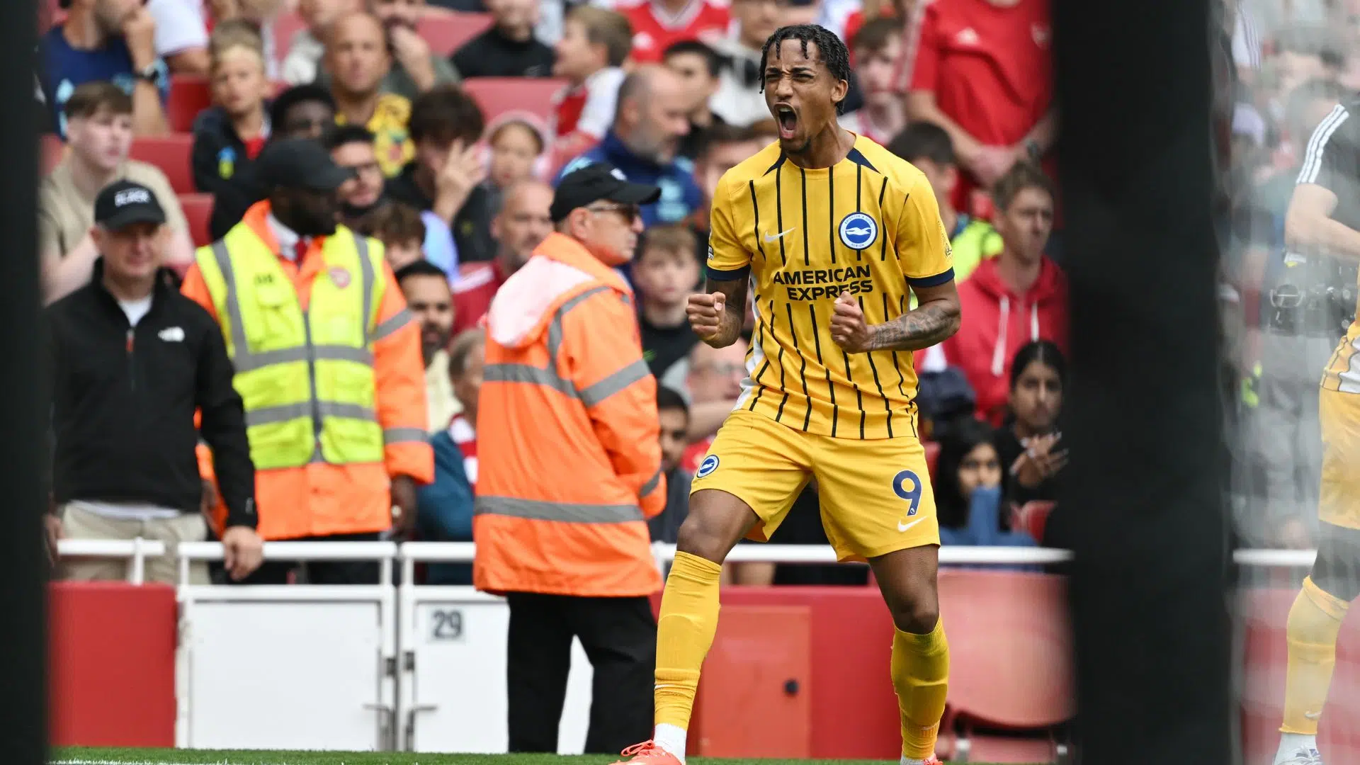 João Pedro marcando pelo Brighton