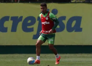 Marcos Rocha deve ter o contrato renovado com o Palmeiras (Crédito: Cesar Greco / Palmeiras)