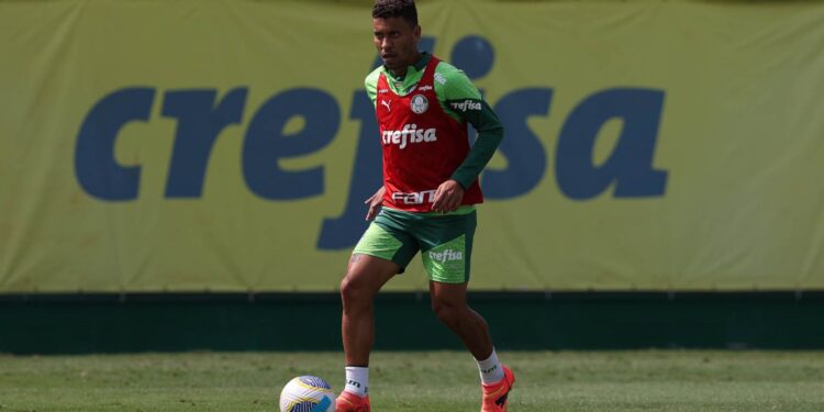 Marcos Rocha deve ter o contrato renovado com o Palmeiras (Crédito: Cesar Greco / Palmeiras)