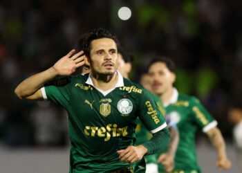 Palmeiras tem mais chance de título do que o Botafogo