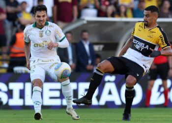 Palmeiras x Criciúma: saiba onde assistir à partida
