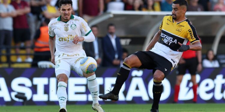 Palmeiras x Criciúma: saiba onde assistir à partida