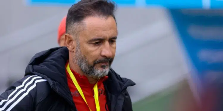 Vitor Pereira no comando do Flamengo, em 2023