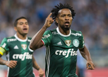 Fonte: divulgação / palmeiras