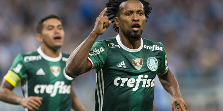 Fonte: divulgação / palmeiras