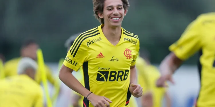 Fonte: Gilvan de Souza / Flamengo